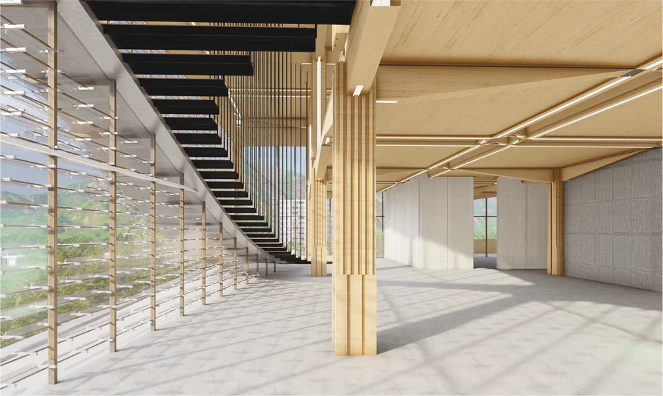 室内交通空间 / Interior circulation