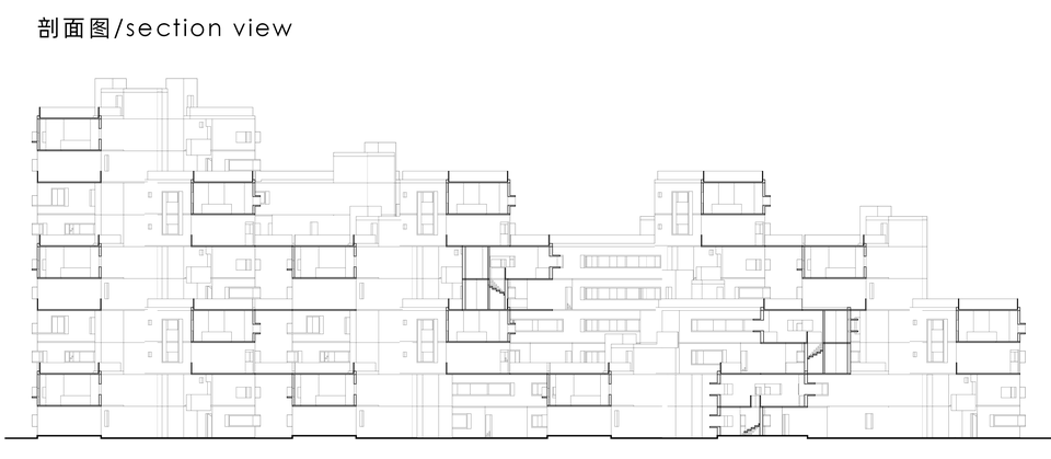 群体剖面 / Section through the residential cluster